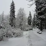 Spa Resort Libverda - Hotel Lesni Zatisi Guest house Lazne Libverda