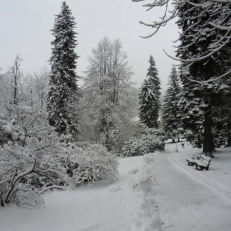 Libverda - Lesní Zátiší Penzion Lázně Libverda